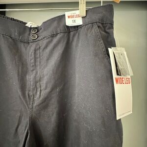 Nordstrom Celebrity Pink Hi-Rise Wide Leg Chino Pants 1X